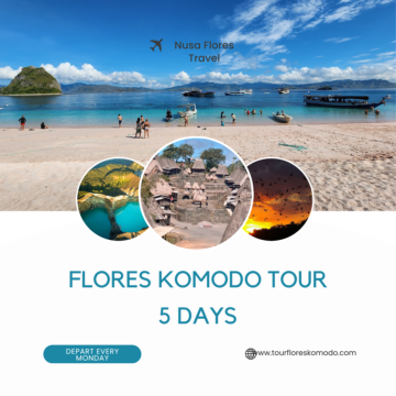 FLORES KOMODO TOUR 5 DAYS