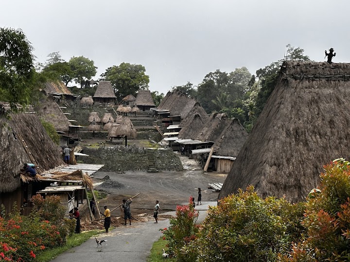 Prehliadky Flores Island 7 Days Bena village