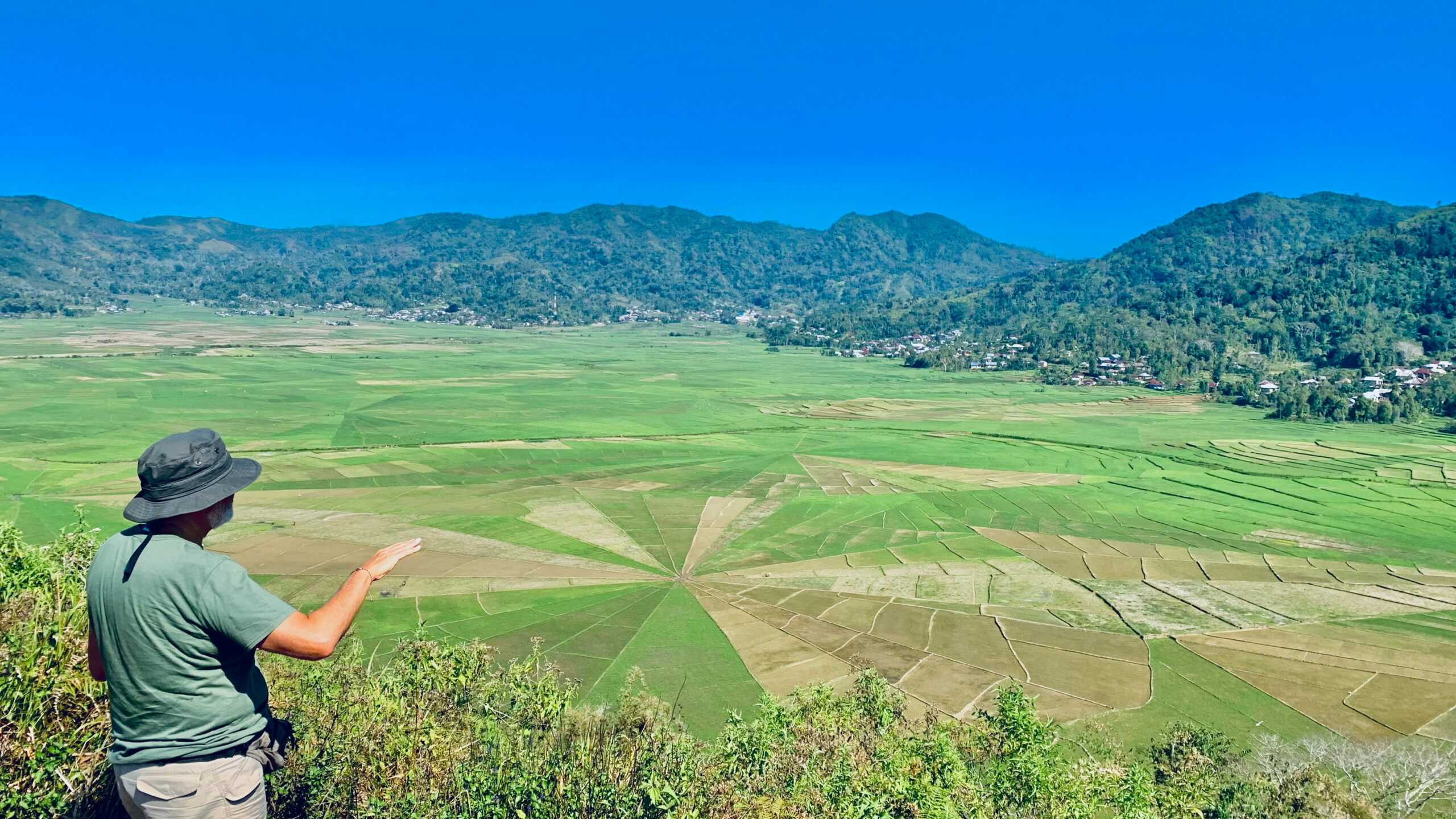 Flores Komodo Tours 7 Days ( Speedboat ) spider web rice field