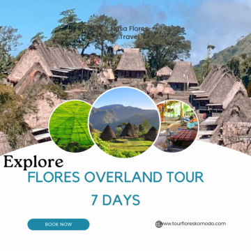 Flores Komodo Tour 7 Dias ( Navegação)