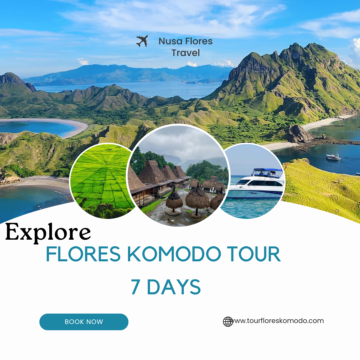 Visites à Florès Komodo 7 Journées ( Vedette )