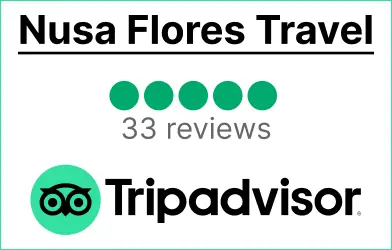 Widget TripAdvisor